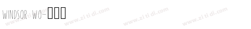 Windsor W0字体转换